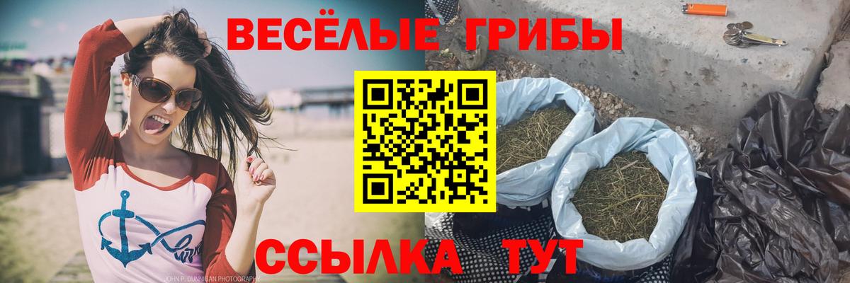 Галлюциногенные грибы мицелий  Вход с VPN  Псилоцибиновые грибы мицелий  Курск 